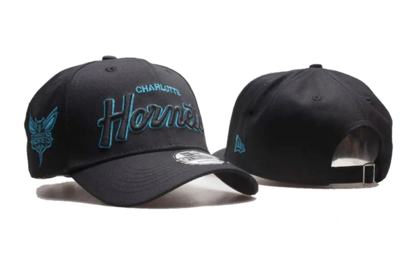 Бейсболка Charlotte Hornets купить-в-time2win.ru